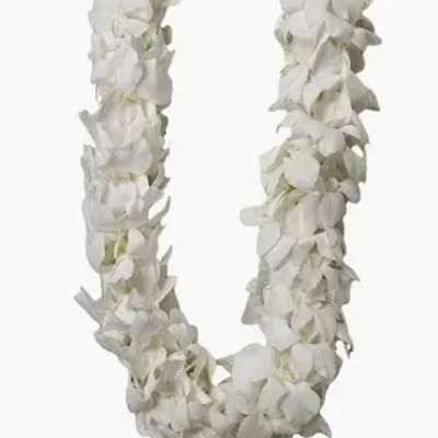 Graduation Lei