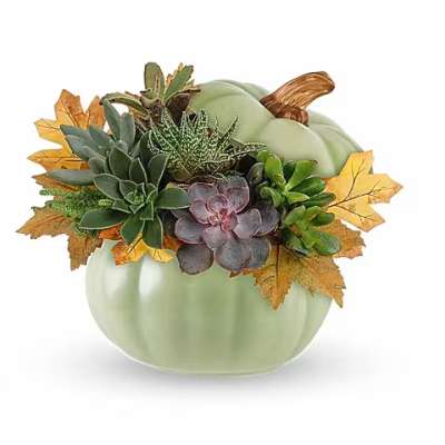 Succulent arrangement in a pale green pumpkin-shaped container with autumn leaves