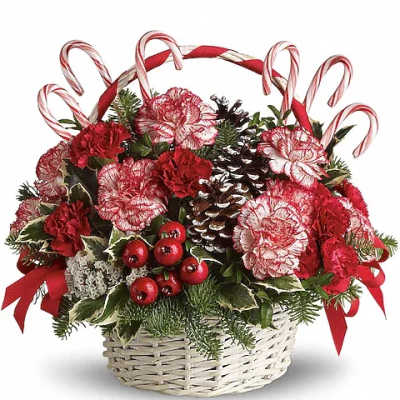 Holiday basket arrangement with red carnations and candy canes in a white basket