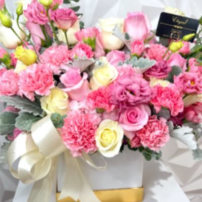 Elegant Pink Blush collection