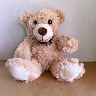 Plush teddy bear with a brown ribbon sitting against a plain background