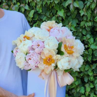 Handheld bouquet of pale pink and white peonies with a blush ribbon
