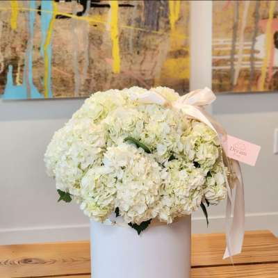 White hydrangea arrangement in a round white box with a ribbon