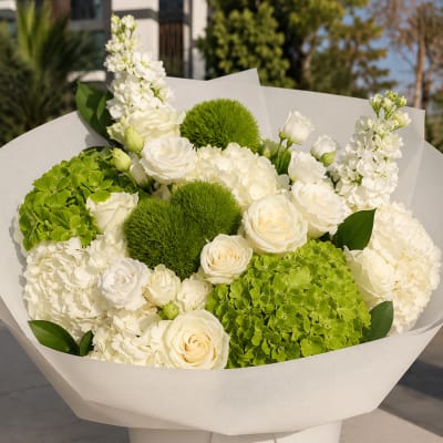 White roses and hydrangeas with green pom-pom blooms in a white wrap and box