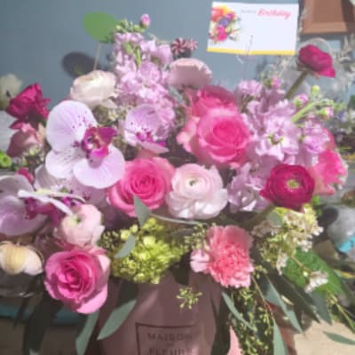 fancy pants