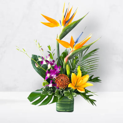 Tropical bouquet with orange bird of paradise and purple orchids in a green vase