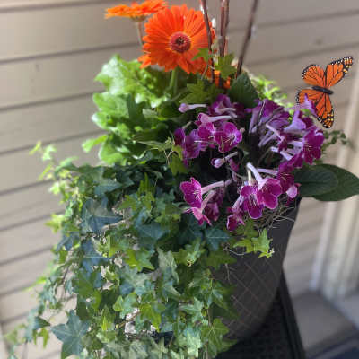 Orange gerbera daisies and purple orchids in a hanging planter with ivy