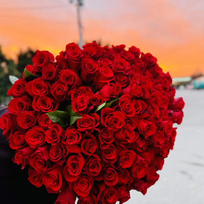 Large heart-shaped bouquet of tightly clustered red roses held outdoors at sunset