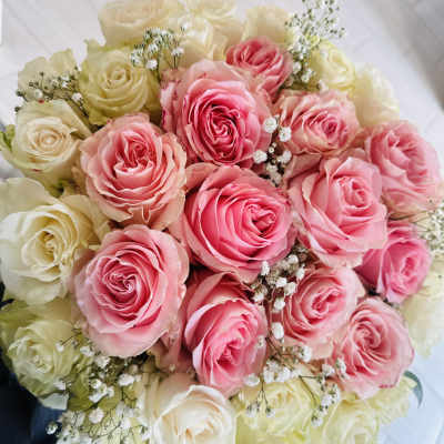 Round bouquet of pink and cream roses with small white filler flowers
