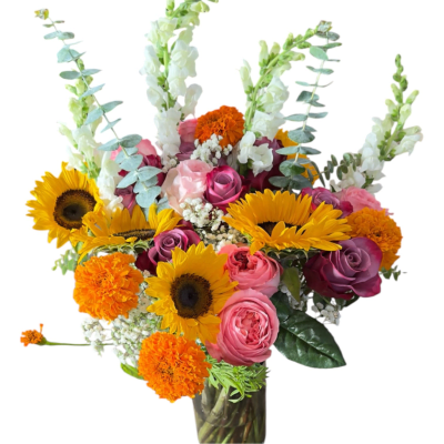 Cheerful Garden