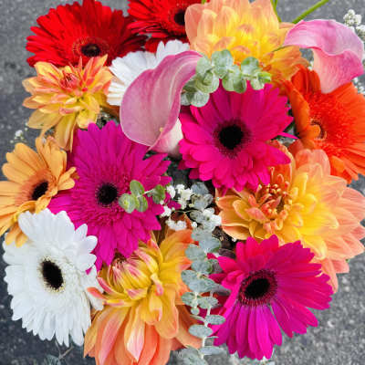 Bright mixed bouquet with gerbera daisies, calla lilies, and dahlias
