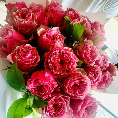 Bouquet of bright pink roses with a few green leaves