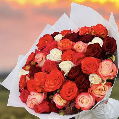 Bouquet of red, pink, peach, and white roses wrapped in white paper