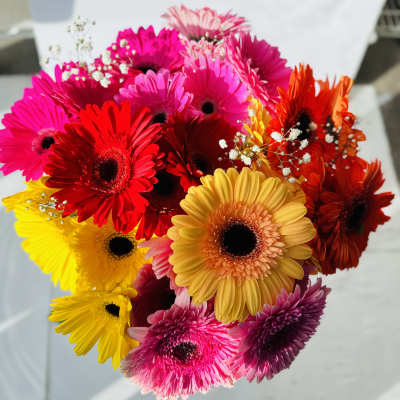 Bright bouquet of mixed yellow, pink, red, and orange gerbera daisies with small white filler blooms