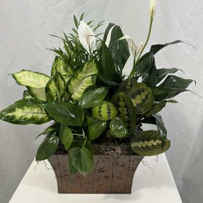 Metal Garden Dish