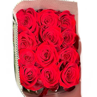 Bouquet of red roses wrapped in pale paper