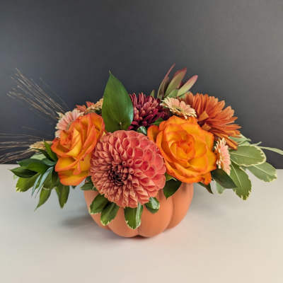Pumpkin Patch Blooms