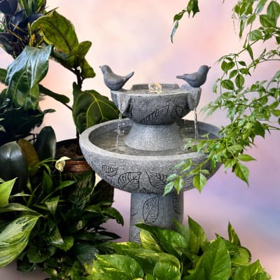 Stone birdbath fountain surrounded by potted houseplants