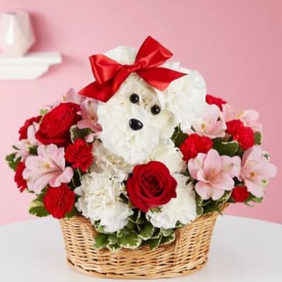 Love Pup