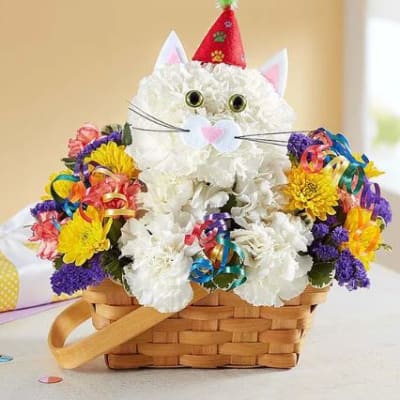Purrfect Party Cat