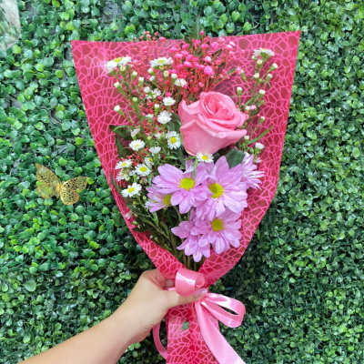 Pink Cute Rose