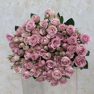 Large bouquet of pink roses with dark green leaves