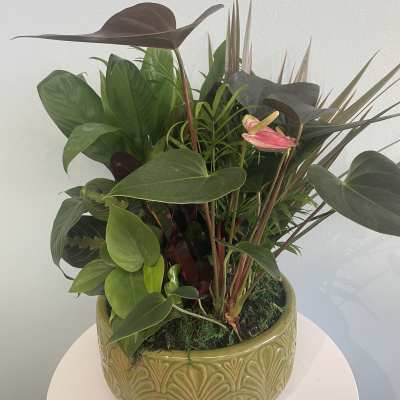 Tropical plant arrangement in a patterned ceramic pot with a pink anthurium bloom