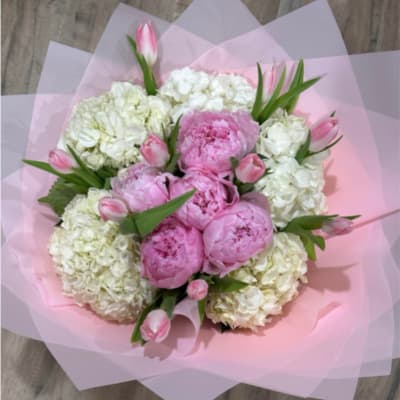 Peony Elegance