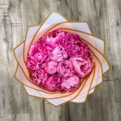 Peony Love