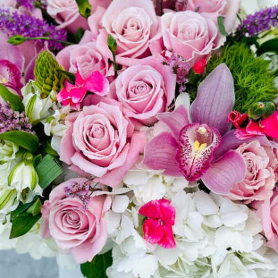 Designer Choice Mother's Day