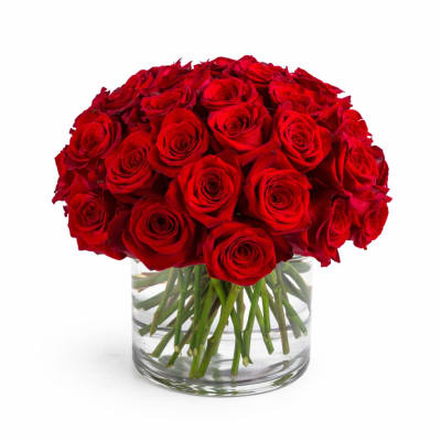 Bouquet of red roses in a clear glass vase