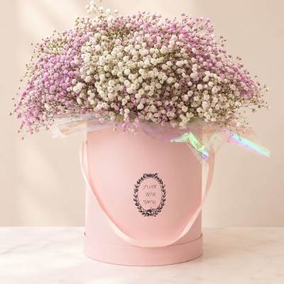 Blush Baby’s Breath Cloud