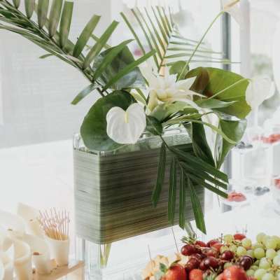 Linear Luxury