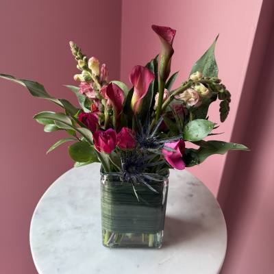 VIOLET NO. 1