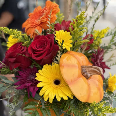 Pumpkin-Orange