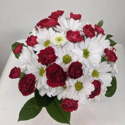 Bouquet of red carnations and white daisies with green centers
