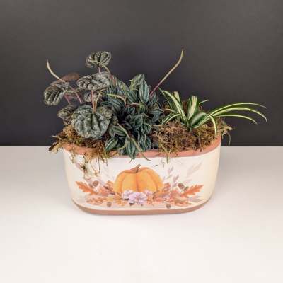 Pumpkin Patch Dish Garden