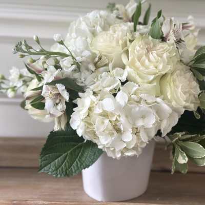 White rose and hydrangea arrangement in a white vase
