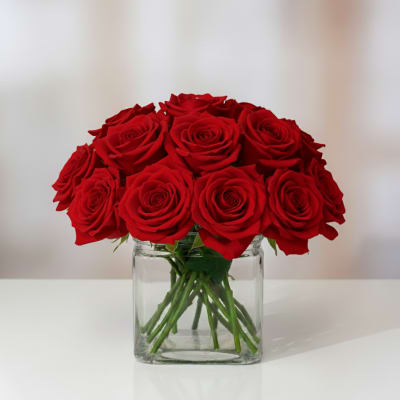 Red roses arranged in a clear glass vase