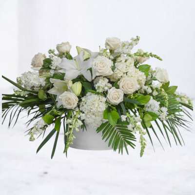 White Lotus