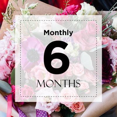 Monthly Subscriptions - 6 Months