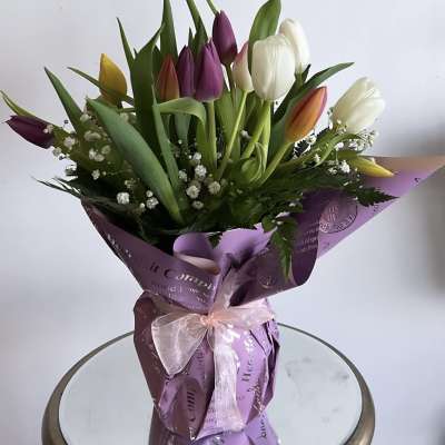 Timeless Tulips