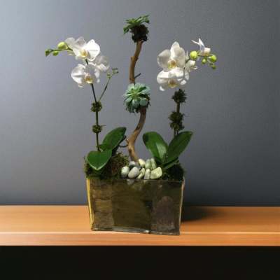 Orchid and succulent arrangement in a rectangular vase with decorative stones