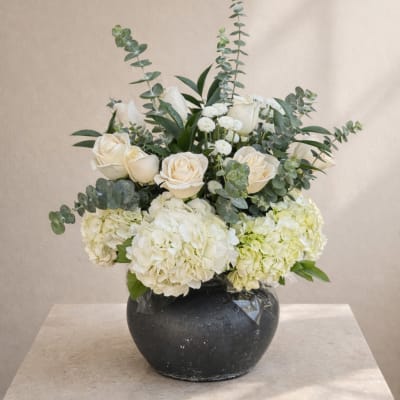 Gentle bloom