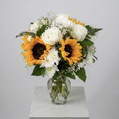 The Sunburst Classic