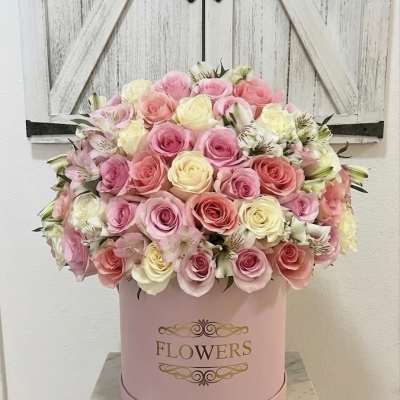Blush & Bloom