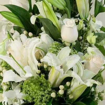 Designer's Choice Tall White