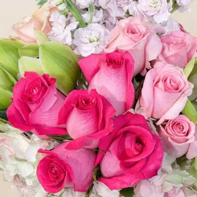 Designer's Choice Pink Tall
