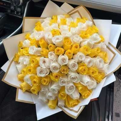 Bi Sunny Bonche 75 - 100