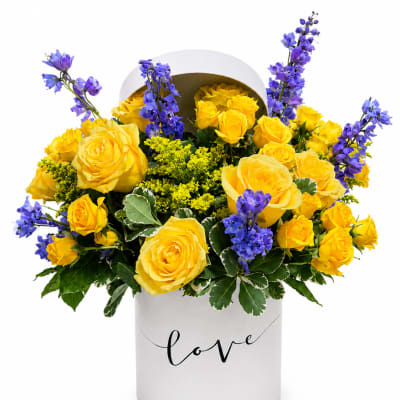 Sunshine & Sapphire Hatbox